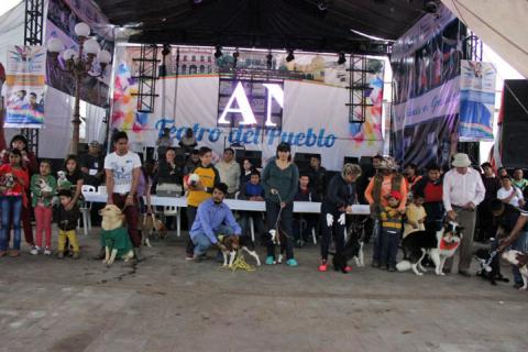 Despierta admiración Exhibición Canina en Feria “San Antonio Calpulalpan 2015” imagen 4