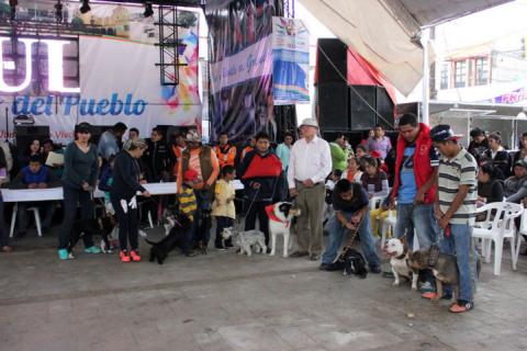 Despierta admiración Exhibición Canina en Feria “San Antonio Calpulalpan 2015” imagen 5
