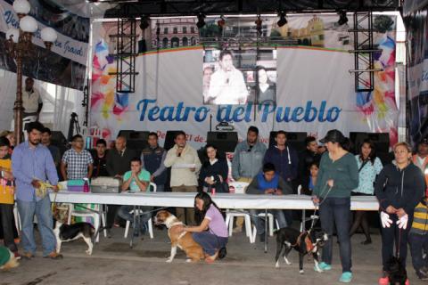 Despierta admiración Exhibición Canina en Feria “San Antonio Calpulalpan 2015” imagen 2