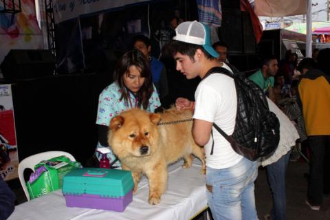 Despierta admiración Exhibición Canina en Feria “San Antonio Calpulalpan 2015” imagen 8