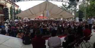 Muestran músculo AMLO y Palafox en campaña imagen 3