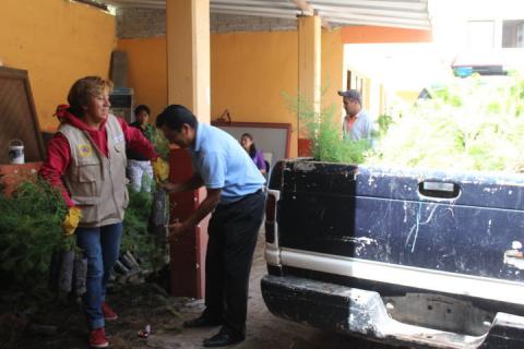 Entregan a comunidades de Nativitas árboles para reforestar imagen 2