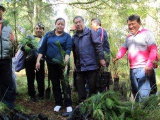 Inician campaña de reforestación en Tetlanohcan imagen 2