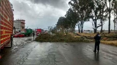 Mínimos daños materiales se han registrado en Apizaco imagen 1
