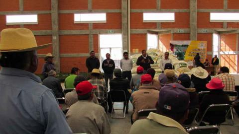 Víctor Castro López entregó fertilizantes a campesinos imagen 3