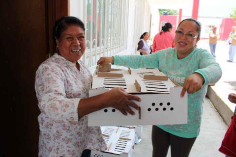 SNDIF de Xicohtzinco incentiva a pequeños productores imagen 3