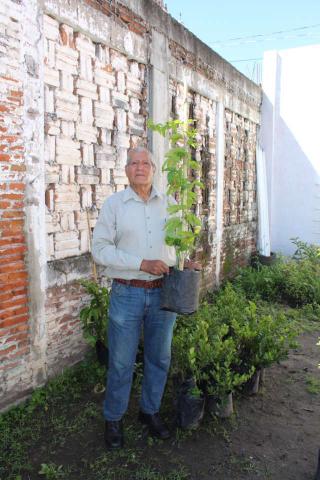 Pobladores de Xicohtzinco fueron beneficiados con árboles frutales imagen 1