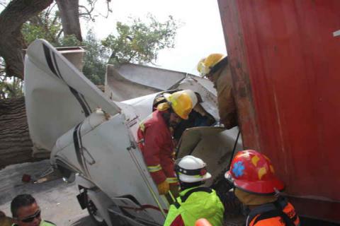Conductor de tráiler se salva de milagro; árbol aplasta su unidad imagen 3