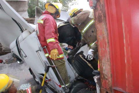 Conductor de tráiler se salva de milagro; árbol aplasta su unidad imagen 4