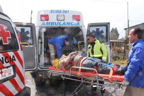 Conductor de tráiler se salva de milagro; árbol aplasta su unidad imagen 6