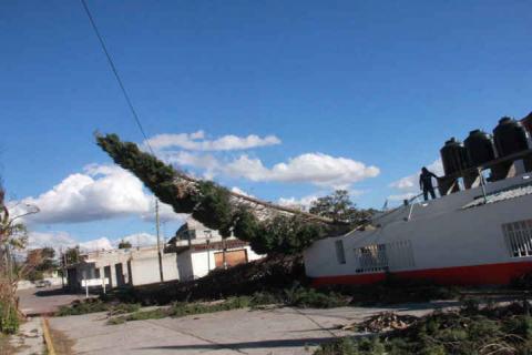 Sánchez Tlapapal atiende contingencia por fuertes vientos imagen 1