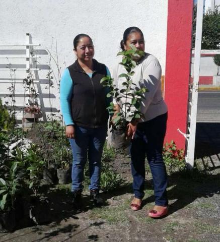 Pobladores de Xicohtzinco fueron beneficiados con árboles frutales imagen 2
