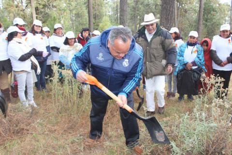 Inicia Programa de Empleo Temporal 2016 en La Malinche imagen 2