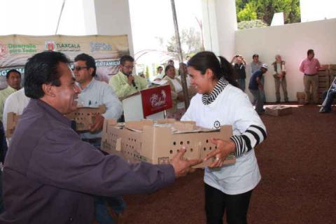 En Xaloztoc benefician a 390 familias con paquetes de animales de traspatio imagen 4