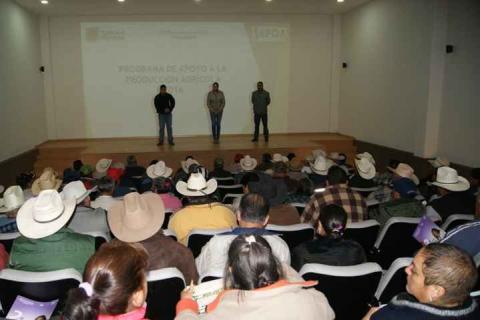 Lilia Caritina Olvera acerca apoyos de maguey a productores agrícolas imagen 1