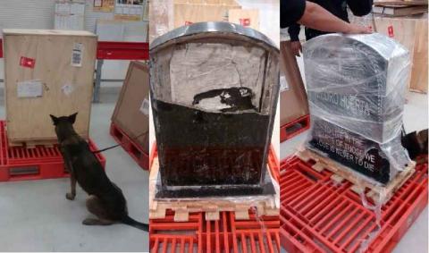 Transportaban marihuana en una lápida para cementerio