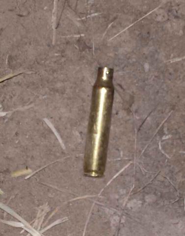 Policías juegan “tiro al blanco” con toro imagen 2
