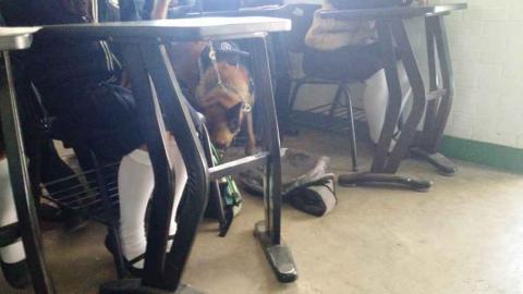 Realizan en Tlaxcala el "Operativo Mochila" imagen 2