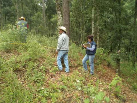 Suspende Prodepa actividades en dos predios forestales de Tlaxcala imagen 3