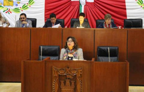 Autorizan al ejecutivo ejercer dominio en dos predios de Ocotlán imagen 1