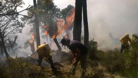 Afectan incendios forestales solo pastizales en Tlaxcala imagen 1
