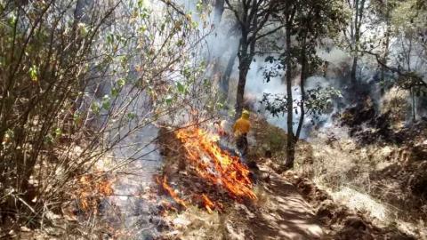 Afectan incendios forestales solo pastizales en Tlaxcala imagen 2