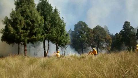 Afectan incendios forestales solo pastizales en Tlaxcala imagen 3