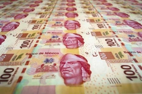 Desde la OMG asignan contratos directos, millonarios y opacos