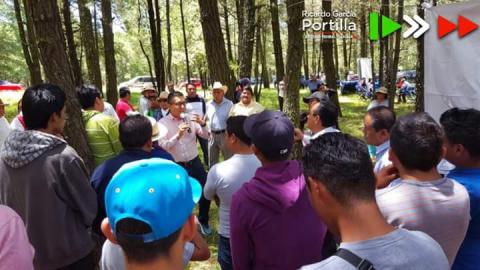 Anda más ocupado plantando arbolitos que trabajando para el 2018 imagen 2