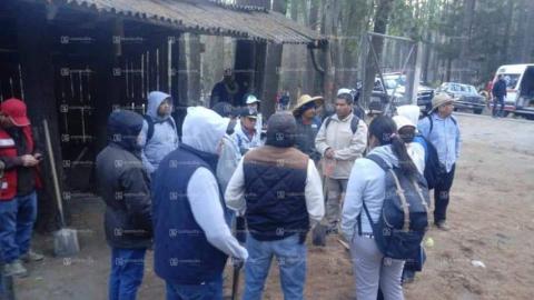 Gobierno federal y estatal forman brigadas para combatir incendio imagen 3