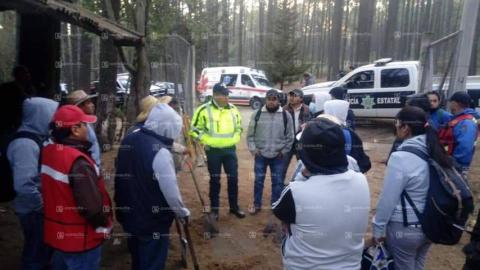 Gobierno federal y estatal forman brigadas para combatir incendio imagen 1