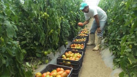 Otorga Fomtlax 474 créditos a micro y pequeñas empresas imagen 5