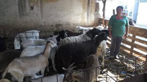 Otorga Fomtlax 474 créditos a micro y pequeñas empresas imagen 4