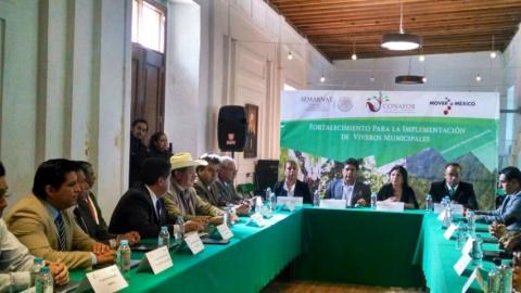 Ayuntamiento de Tlaltelulco fortalece la implementación de viveros: Polvo Rea imagen 2
