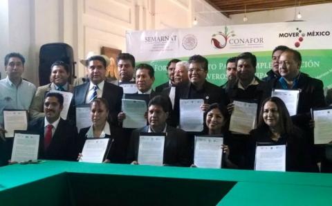 Ayuntamiento de Tlaltelulco fortalece la implementación de viveros: Polvo Rea imagen 4