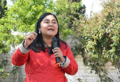 Presentará Anabel Alvarado 300 iniciativas de ley al llegar al Senado de la República imagen 1