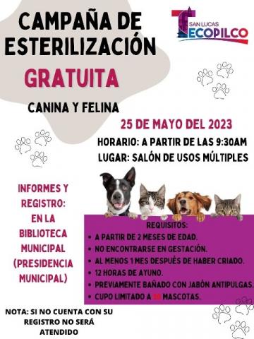 Anuncian campaña de esterilización de perros y gatos en Tecopilco