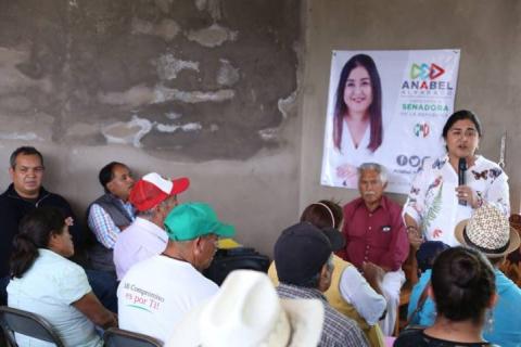 Tlaxcala necesita leyes para hacer más eficientes los servicios de salud: Anabel Alvarado imagen 4