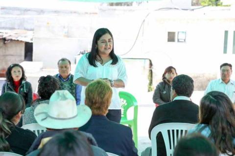 Presentará Anabel Alvarado 300 iniciativas de ley al llegar al Senado de la República imagen 3