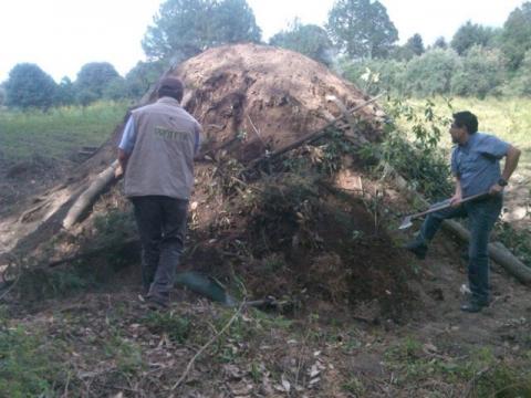 Inhabilitan cinco hornos de carbón en la Malinche, Tlaxcala imagen 1
