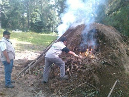 Inhabilitan cinco hornos de carbón en la Malinche, Tlaxcala imagen 2