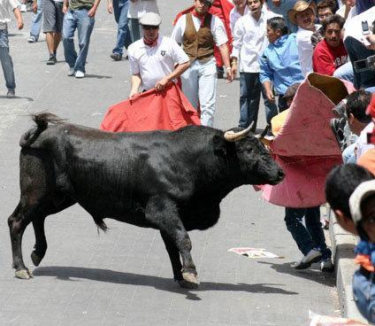 Aumentará el número de toros en la Huamantlada