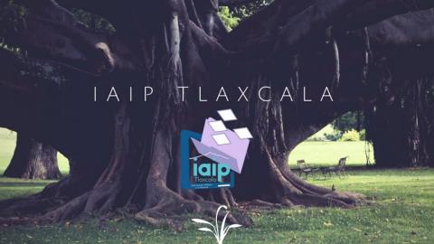 Exfuncionarios aspiran a formar parte del IAIP