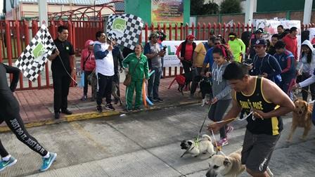 En Apizaco se llevará a cabo el paseo de mascotas
