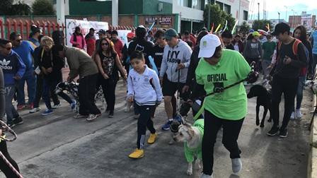 Participan 400 personas en “Corre, camina o trota con tu mascota”