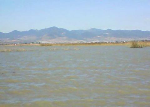 Vigilan presas por estar cerca del límite