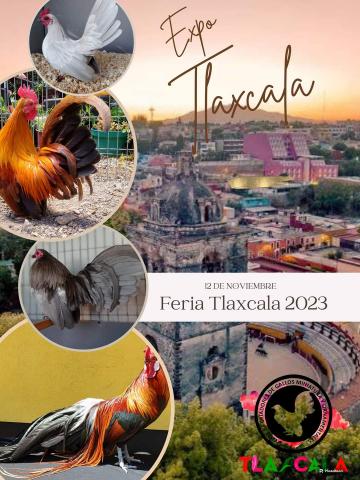 El club de criadores de gallos miniatura y ornamenales de Tlaxcala realizara su Tercera Expo 2023