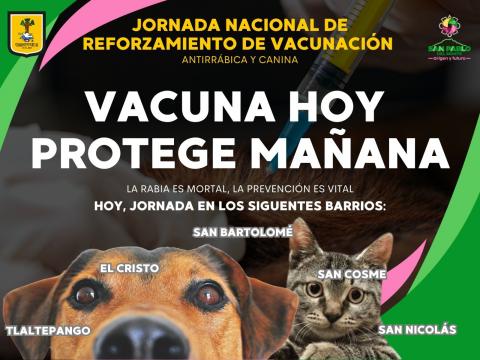 Vacunación Gratuita para Mascotas en San Pablo del Monte