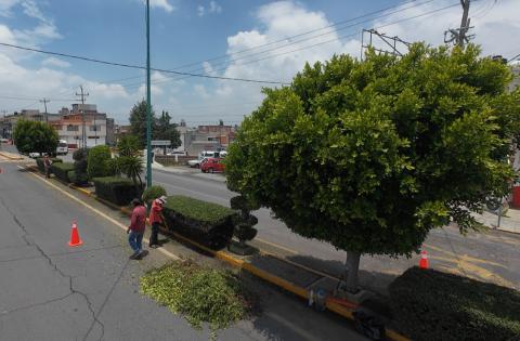 Chiautempan promueve el programa "Senderos Seguros" con acciones en el bulevar Santa Ana - San Pablo imagen 2