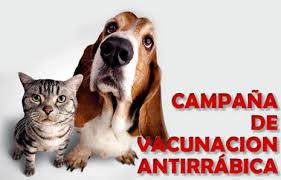Xicohtzinco alista campaña de vacunación antirrábica imagen 2